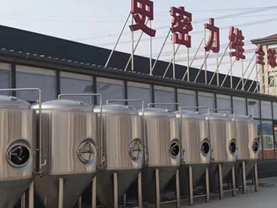 文水精酿啤酒设备厂—市场规模与跨界新需求
